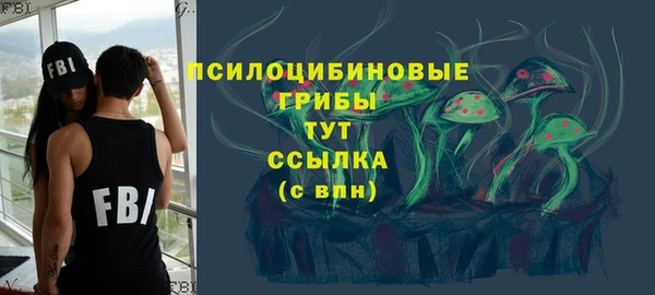 герыч Тайга