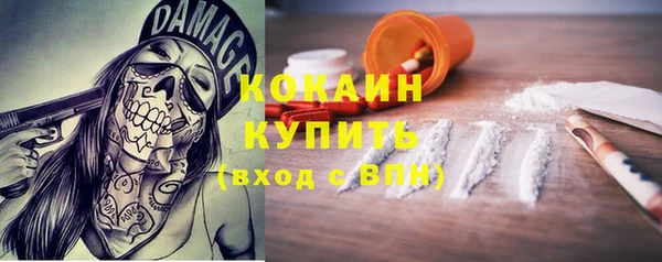экстази Дмитриев